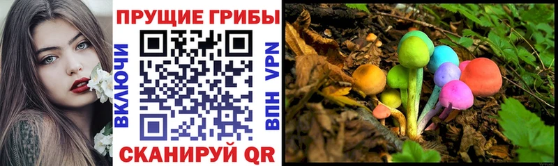 где найти наркотики  Мостовской  Псилоцибиновые грибы Psilocybe 